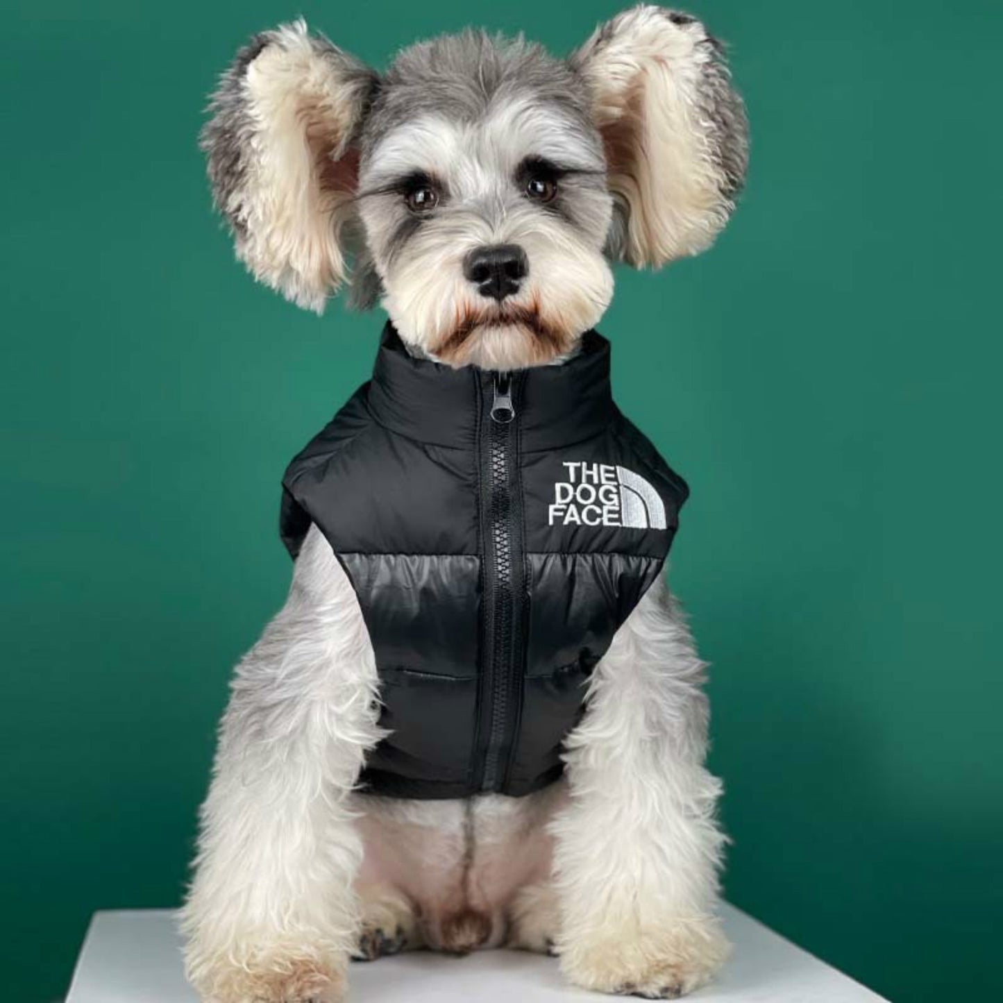The Dog Face Winter Pet Dog Clothes for Small Medium Dogs,Warm Thick White Duck Down Vest, Chihuahua French Bulldog Black Jacket